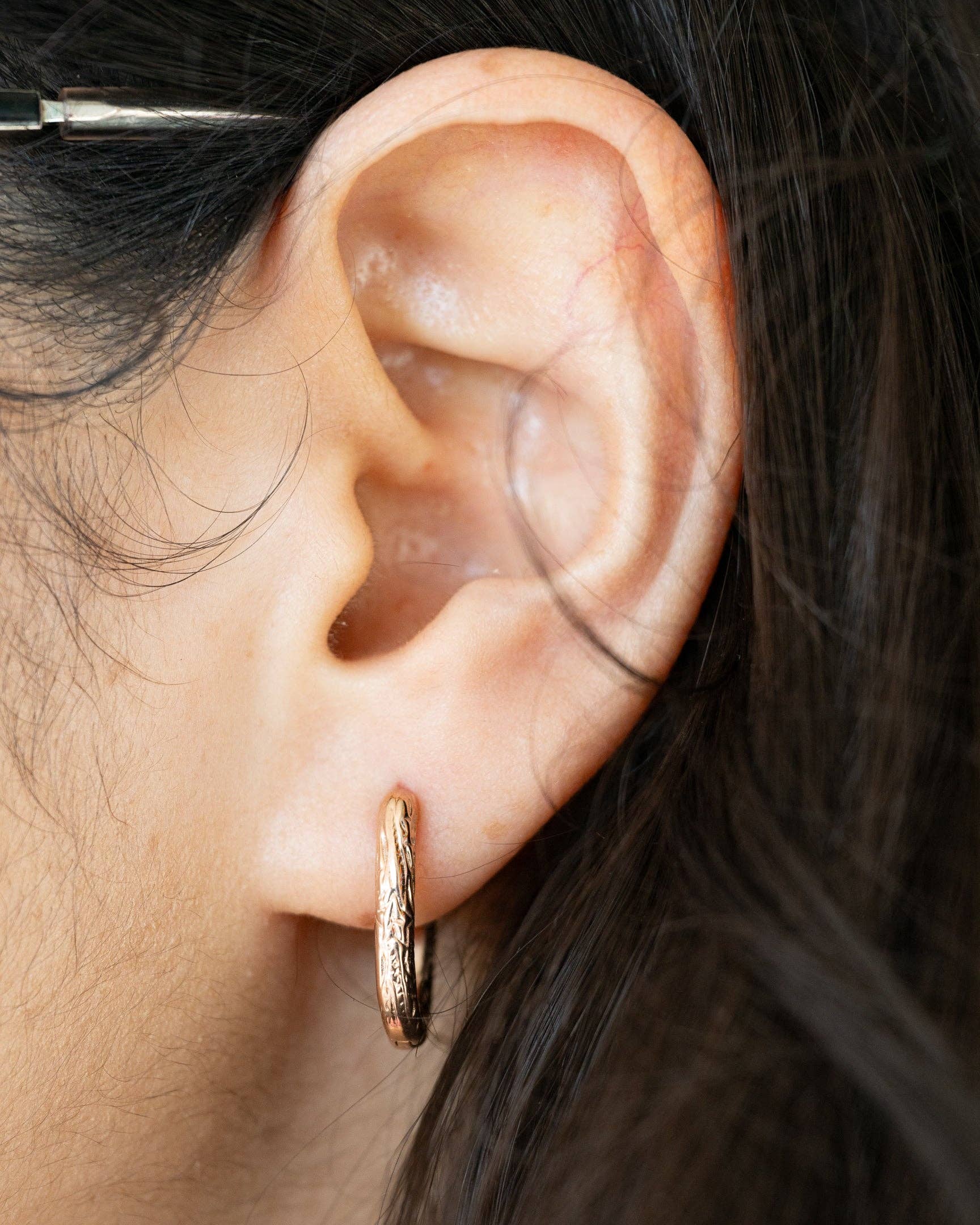 Horseshoe Hoops